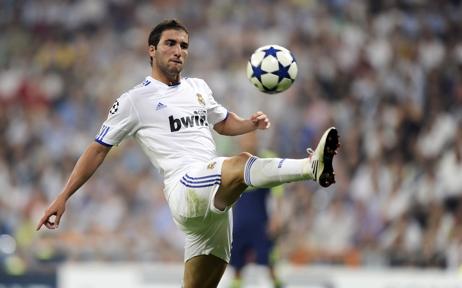 开云投注-多特蒙德主场未能获胜，积分略有下降，多特蒙德主场照片